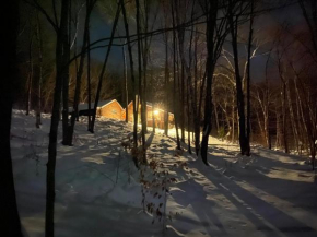 Cabin in the Woods